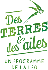 des terres et des ailes des terres et des ailes