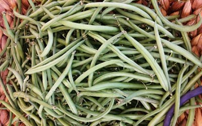 Haricots verts