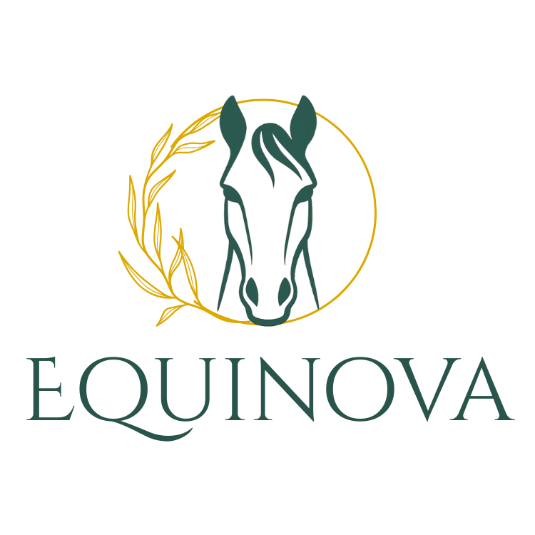 logo équinova